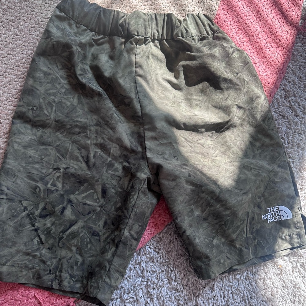 The North Face Men's Olive Athletic Shorts